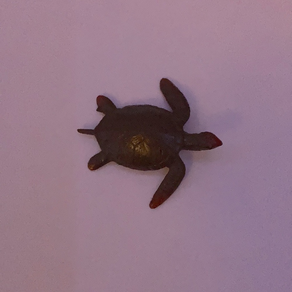 Toy turtle and shark